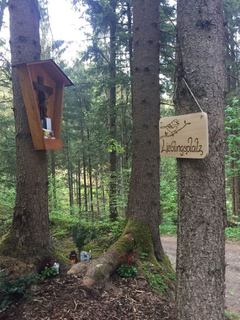 Im Wald Im Wald